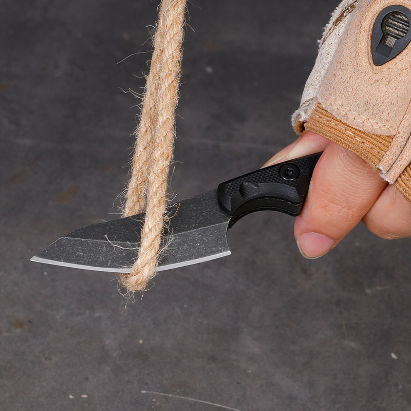 5CR15 สแตนเลสขนาดเล็กใบมีดมีด  - Edc Carry Fixed Blade บทวิจารณ์และราคา